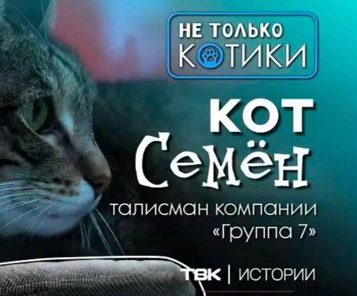 Наш кот Семён — герой сюжета